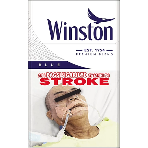 WINSTON LIGHTS